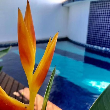 Recanto Das Andorinhas Studios Araquari Eksteriør bilde